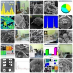 ԡ SEM,EDS,SemAfore,Sputter Coater