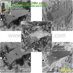 FE-SEM image,SEM Image,EPMA Image,BEI COMPO,BEI TOPO,SEI,BEI COMPO SHADOW,BEI TOPO SHADOW,ภาพSEM,ภาพจากกล้องจุลทรรศน์ FE-SEM image,SEM Image,EPMA Image,BEI COMPO,BEI TOPO,SEI,BEI COMPO SHADOW,BEI TOPO SHADOW,ภาพSEM,ภาพจากกล้องจุลทรรศน์