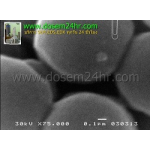 Resolution,resolution check,SEM resolution check,ภาพกำลังขยายสูง, ภาพSEMกำลังขยายสูง Resolution,resolution check,SEM resolution check,ภาพกำลังขยายสูง, ภาพSEMกำลังขยายสูง