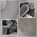 น้ำตาล,เม็ดน้ำตาล,น้ำตาลทราย,sugar,ภาพถ่ายน้ำตาล,Sugar SEM image น้ำตาล,เม็ดน้ำตาล,น้ำตาลทราย,sugar,ภาพถ่ายน้ำตาล,Sugar SEM image