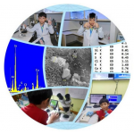 PM 2.5 (Particulate Matter) 蹴ͧ SEM  EDS